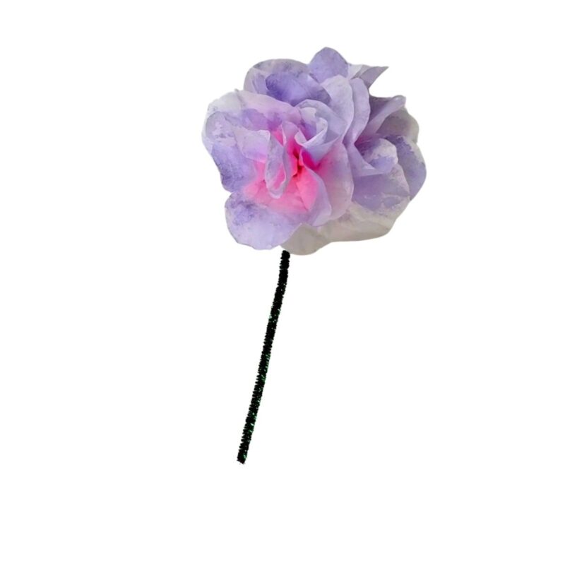 Coffee Filter Flower Spring Box