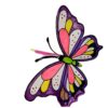 Flapping Butterfly Spring Box