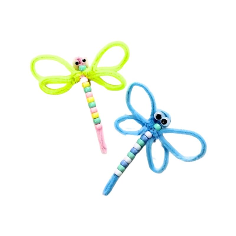 Pipe Cleaner Dragonfly Spring Box