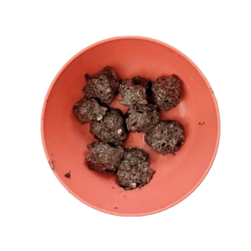 Wildflower Seed Bombs Spring Box