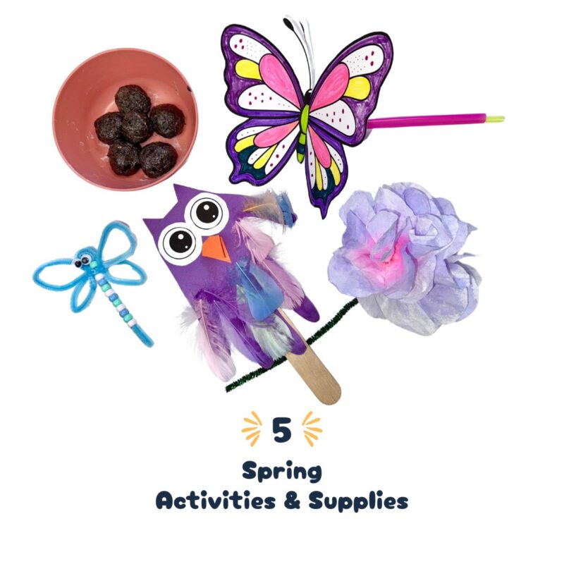 springbox Spring Box